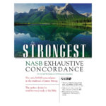 Why Every Bible Student Needs a Concordance: Top Picks for Your Library